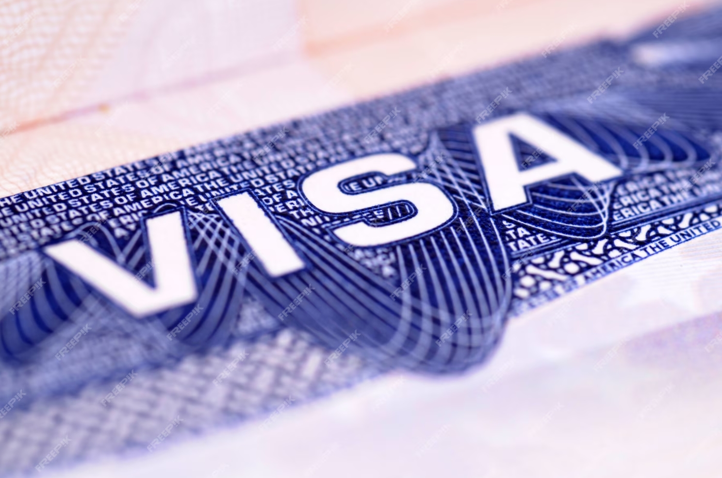 Employer Sponsored Work Visas