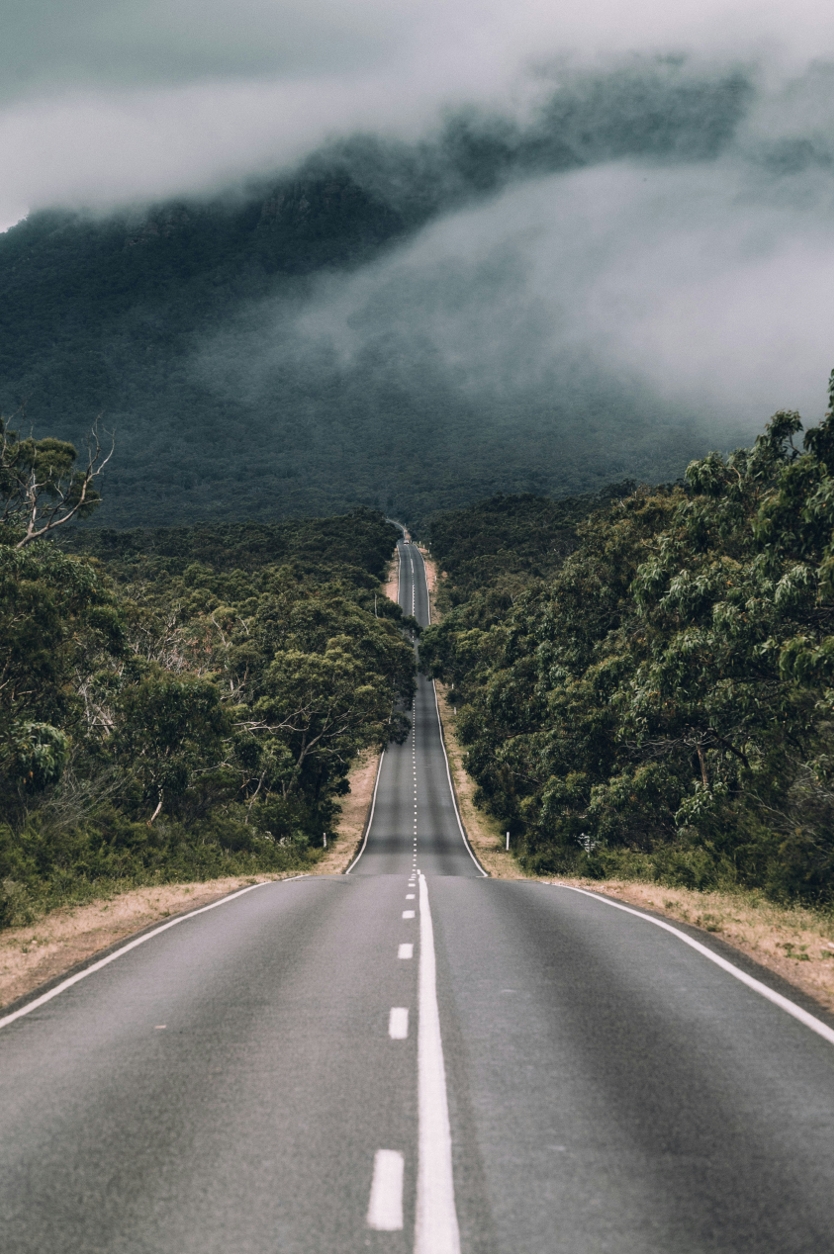 New Family Violence Provisions for Skilled Visa Holders: Key Changes Effective from 15 October 2024